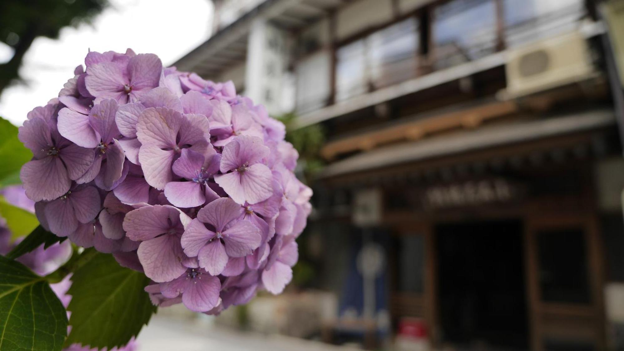 Shibu Onsen Koishiya Ryokan Yamanouchi  Dış mekan fotoğraf
